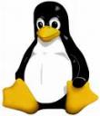 10 anos de Linux em minha vida